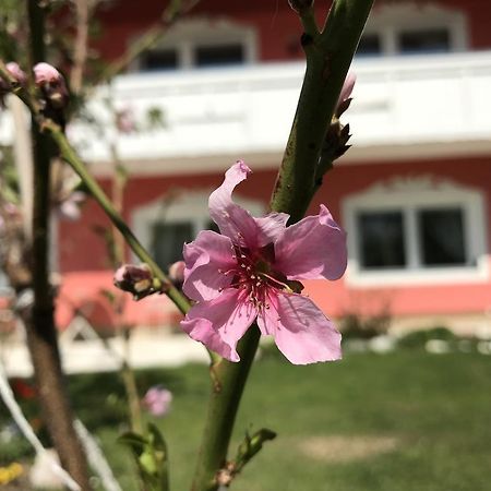 汉妮克公寓 Techelsberg 外观 照片